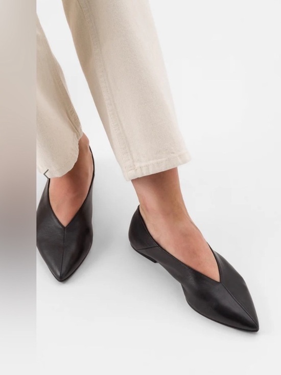Aeyde Shoes - Aeyde Moa point toe flat Black Leather